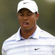 Illustration for article titled Tiger Woods, Lapsed SOCOM Fan